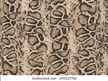 snake pattern design hand drawn vector