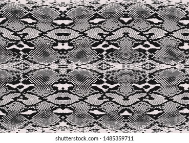 Snake Pattern Design Hand Drawn Stock Vector (Royalty Free) 1485359711 ...