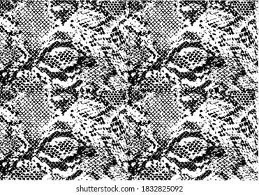 7,543 Piton pattern Images, Stock Photos & Vectors | Shutterstock