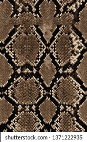 Snake pattern Draw