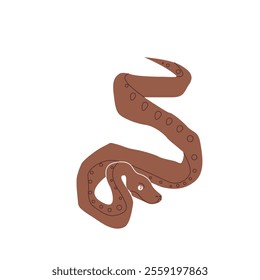 Snake with patterns coiled in a wavy shape, simplistic cartoon style, displayed on a white background.