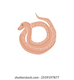 Snake with patterns coiled in a wavy shape, simplistic cartoon style, displayed on a white background.