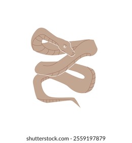 Snake with patterns coiled in a wavy shape, simplistic cartoon style, displayed on a white background.