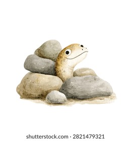 Snake peeking from behind rocks smiling