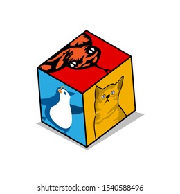 Snake, penguin, and cat box. Vector Illustration on white background