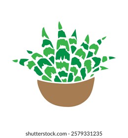 Snake Plant Colorful Vector Illustration. Sansevieria Green Leaves, Indoor Houseplant, Minimalist Decor, Tropical Foliage, Potted Plant, Botanical Art, Isolated Clipart, Natural, Home Garden Design.