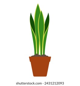 Planta de serpiente en maceta de flores. Dracaena trifasciata planta casera, ilustración vectorial. Hojas verdes anchas, olla de terracota. Planta interior para interior, aislada sobre blanco. Signo minimalista