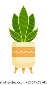 Snake plant (Dracaena trifasciata) in a pot with wood stand. Flat illustration isolated on white background. Home decor and indoor garden concept. Great for use in interior design and gardening guides