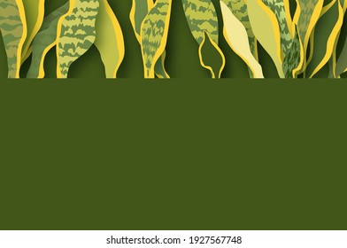 Snake Plant. Houseplant. Green Leaves of Sansevieria trifasciata paper cut style.botanical nature. Spring and summer time. Homeplant.