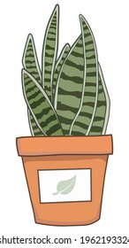 Snake Plant Leaves Mother-in-Law's Tongue Pot Succulent Indoor Interior House Decorative Sansevieria Trifasciata Vector Illustration Art Flat Isolated