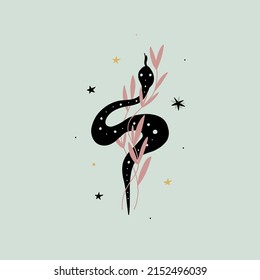 Snake with plant. Magic poster. Boho esoteric and celestial print. Hand drawn doodle magician emblem. Perfect for tarot cover, textile, card and sticker, reptile with botanical vector isolated set