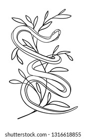 Snake with plant on white background. Snake vector. Snake hand drawing. Snake sketch