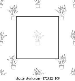Snake Plant Outline Banner on White Background. Vector Illustration