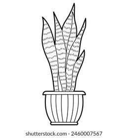 Planta de serpiente en una olla, dracaena trifasciata, planta de casa popular. Ilustración de esquema, Elementos de diseño o página de libro para colorear.