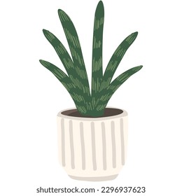 Snake plant vector in house pot illustration