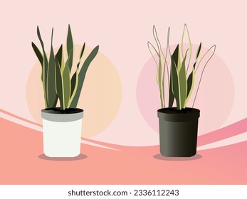 Snake plant vector illustration in colorful background