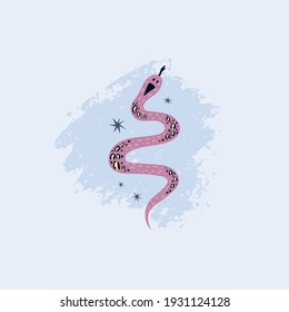 Snake poster. Doodle hand drawn pink and blue snakes on dark background with moon sun and stars, contemporary cartoon design collection, magic reptiles, decorative vector magic t-shirt print