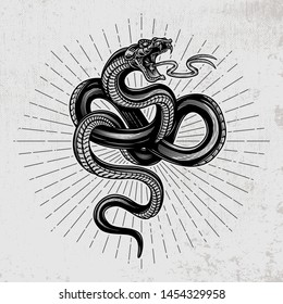 Snake poster. Hand drawn vector illustration in engraving technique with star rays on grunge background.  