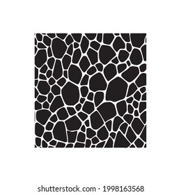 snake print  pattern vector illustration design eps.10