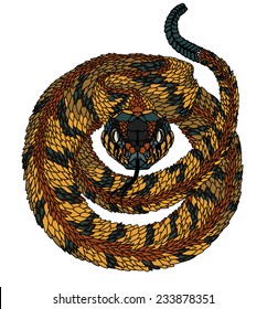 Snake psychedelic. colorful vector illustration