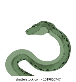 Snake Python Boa Serpent Reptile Animal Vector