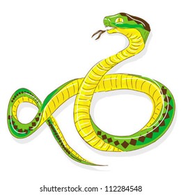 snake python, isolated on white background vector