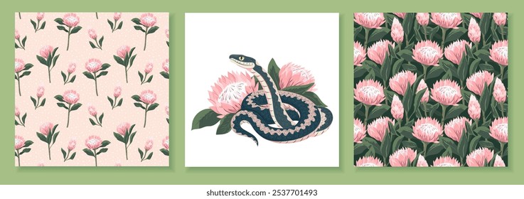 Snake with rare pink protea. Floral repeatable background with pink sugarbush blooming flowers. Set of design seamless patterns and composition for print on textile, fabric, card, flyer, banner