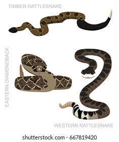 Snake Rattlesnake Set Cartoon Vector Illustration