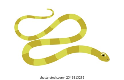 Snake Reptile Animal Vector Illustration