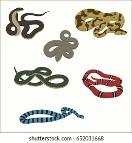 Snake reptile cartoon