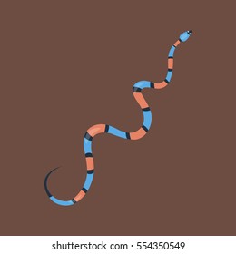 Snake reptile cartoon vector