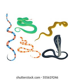 Snake reptile cartoon vector set.
