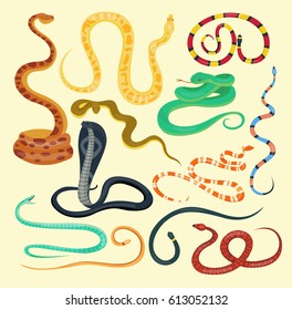 Snake reptile cartoon vector set.