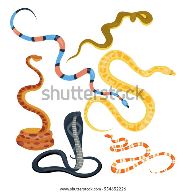 Snake Reptile Cartoon Vector Set Stock Vector (Royalty Free) 554652226 ...