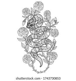 Snake And Rose.
Zentangle Stylized Cartoon Isolated On White Background. 
Hand Drawn Sketch Illustration For Adult Coloring Book. 
