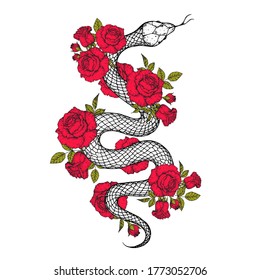 Snake and roses illustration. Vector illustration. Hand drawn illustration for t-shirt print, fabric and other uses.