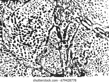 Snake rough skin overlay texture isolated on white background. Vector distress old dirty effect or grunge crack leather pattern for your design.