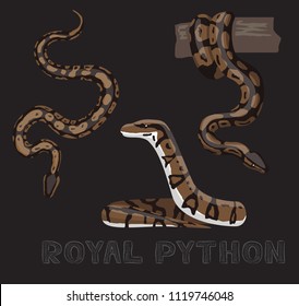 Snake Royal Python Cartoon Vector Illustration