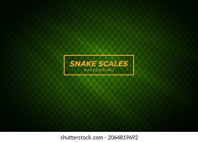 Snake Scales background with green color