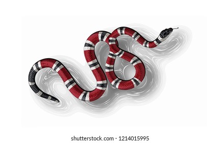 snake with a scaring color, poisonous	