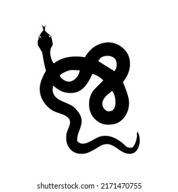 Snake, serpent, adder, reptile and predator, wild animal, wildlife, vector, illustration in black and white color, isolated on white background