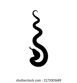 Serpiente, serpiente, adder, reptil y depredador, animal silvestre, vida silvestre, vector, ilustración en color negro, aislado en fondo blanco