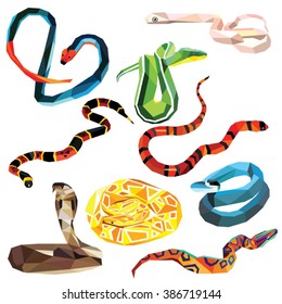 Snake set of colorful low poly designs isolated on white background.