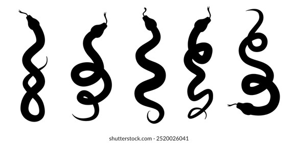 Snake silhouette. Chinese Zodiac. Beautiful set of black snakes. Modern animal drawing. Illustration of python, anaconda and other large snakes.