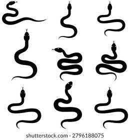 Snake Silhouette Collection Featuring Reptile Wildlife Serpent Animal Nature Creature Herpetology and Exotic Fauna Design Elements