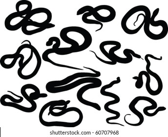 Snake Silhouette Collection - Vector