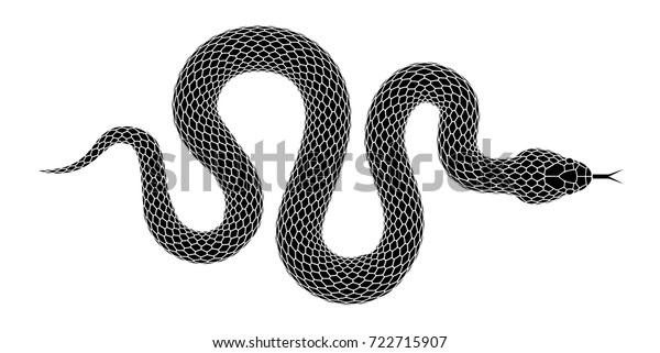 蛇のシルエットイラスト 白い背景に黒い蛇 ベクター画像タトゥーデザイン のベクター画像素材 ロイヤリティフリー