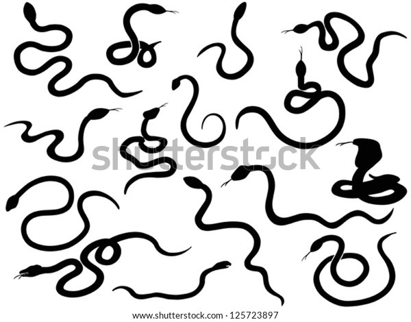 925 Trace Snake Images, Stock Photos & Vectors | Shutterstock