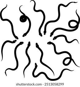 Snake silhouettes are the simplest. Vector illustration