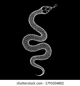 Snake sketch illustration. Vector illustration. Hand drawn illustration for t-shirt print, fabric and other uses